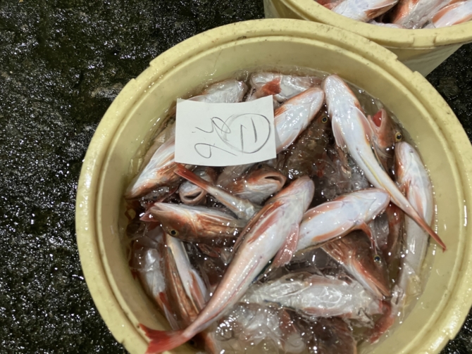 20251226 | 網代漁業株式会社